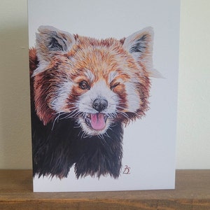 Carte panda roux, carte d'anniversaire, carte animal mignon, carte pour les amateurs de panda roux, carte pour lui, fans de panda roux, carte de voeux animaux,