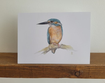 Kingfisher Greetings Card,  Birthday Card, Card for Bird Lovers, Blank Inside, Bird Card, Any occasion, Bird Obsessed, British Bird Card