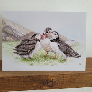 Puffin Greetings Card, Puffins Card, Birthday Card, Card for Puffins Fans, Blank Inside, Animal Card, British Bird Card
