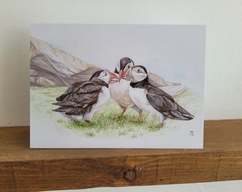 Puffin Greetings Card, Puffins Card, Birthday Card, Card for Puffins Fans, Blank Inside, Animal Card, British Bird Card