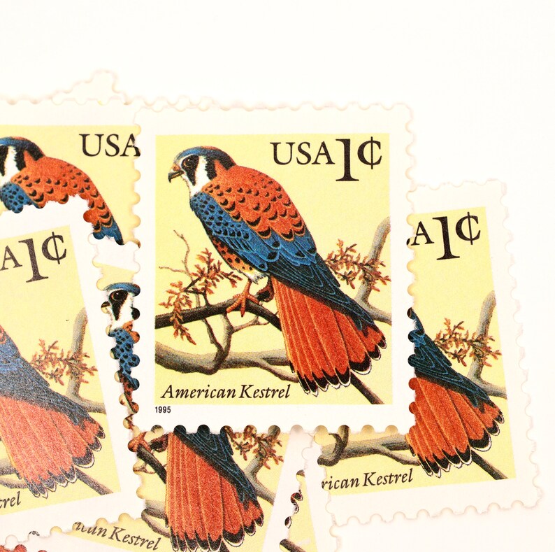 North American Kestrel Stamps Unused Vintage Postage USPS Etsy