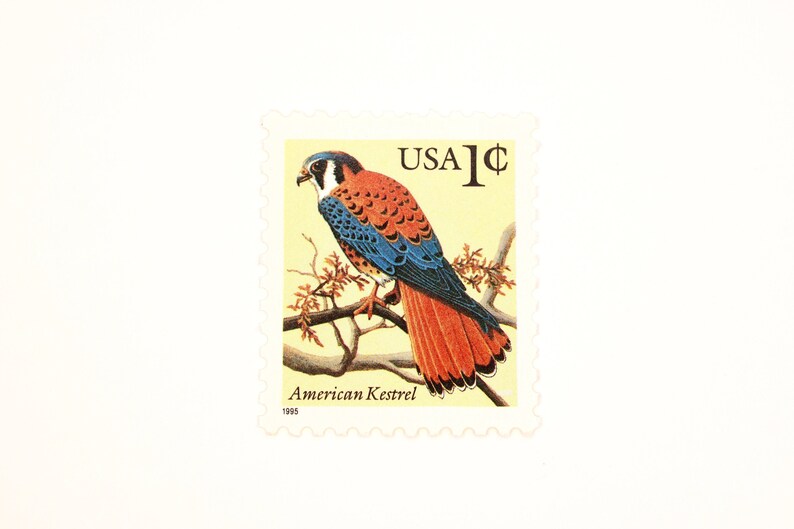 North American Kestrel Stamps Unused Vintage Postage USPS Etsy