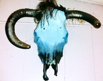 Cráneo de vaca genuino, único en su tipo, pintado a mano, estilo ombré, con cuernos, recolectado humanamente.