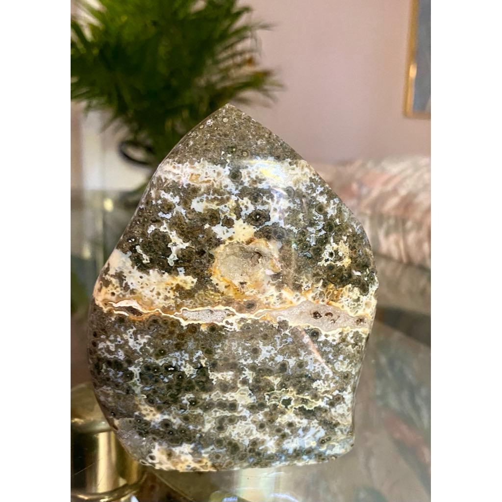 Polished Orbicular Jasper Crystal Freeform from Indonesia w/druzy 3.6" x 4.6" #M60 1.8lbs