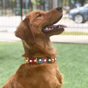 Beaded flower dog / cat collar | bead pet collar necklace | colorful bicone bead pet collar jewelry