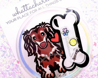 Longhaired Chocolate and Cream Dachshund Badge Reel, Doxie Badge, Dark Brown Doxie ID Reel, Wiener Dog Badge Holder, Weenie Dog Badge Clip