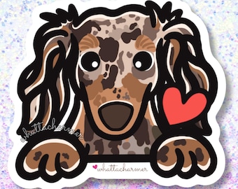 Langharige chocolade vlek teckel hond sticker, chocolade Merle Doxie vinyl sticker, Weiner hond waterdichte sticker, teckel hond sleutelhanger