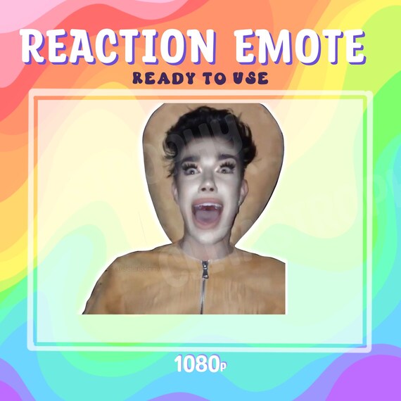 Scared Flashback Mary Funny Reaction Emote for Twitch - Etsy