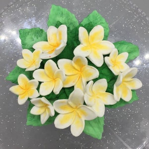 Tropical Flowers, Plumeria,  Fondant Tropical Yellow Flower  for cakes and cupcakes #14