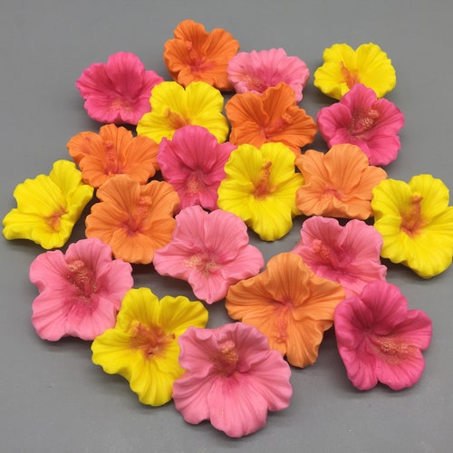 Edible Hawaiian Tropical Hibiscus Flowers Cake & Cupcake Etsy