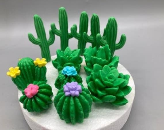 QDMOLDS Cactus Silicone Fondant Mold Cacti Chocolate Candy