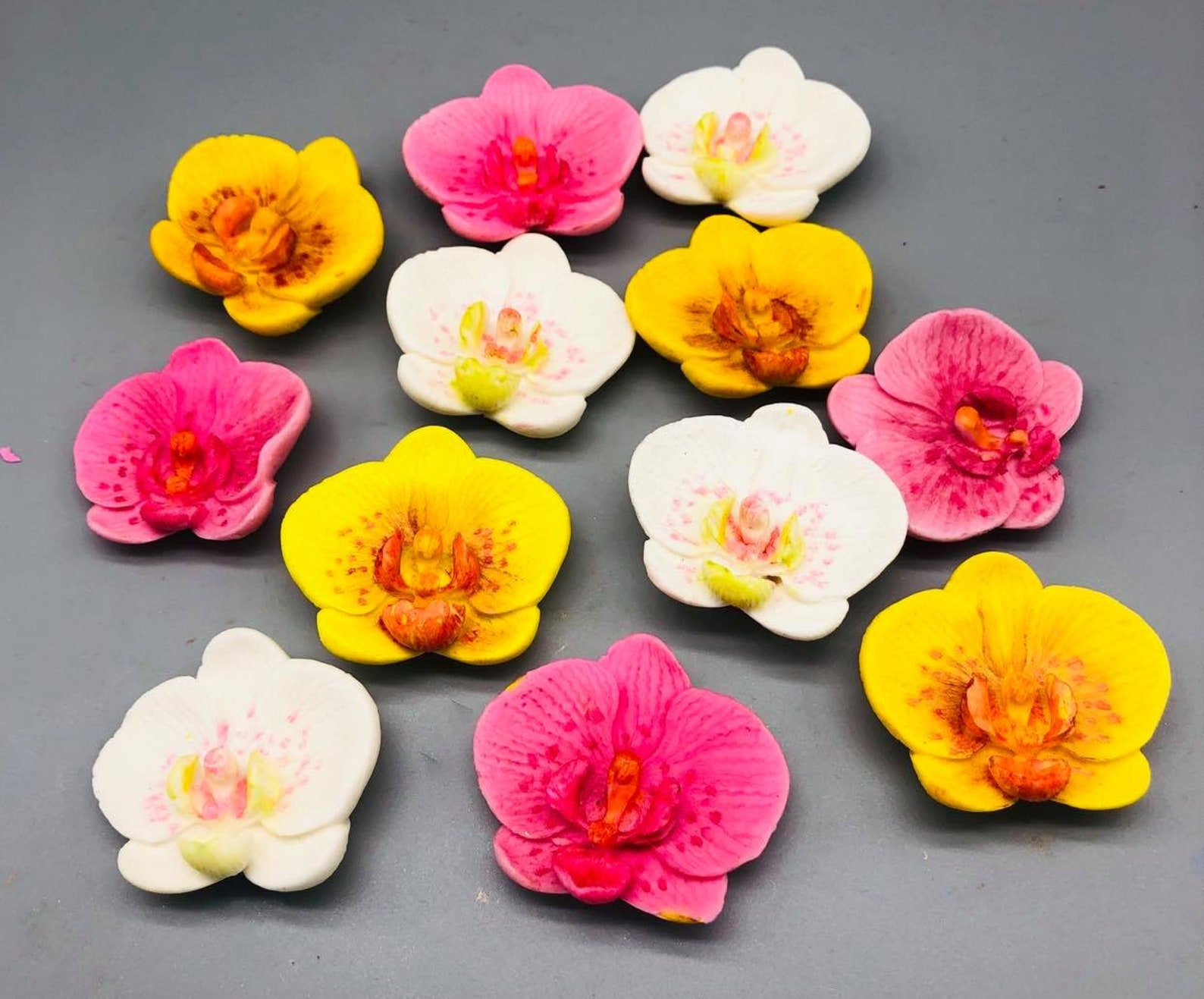 Orchid Edible Orchid Tropical Edible Flowers Fondant Etsy
