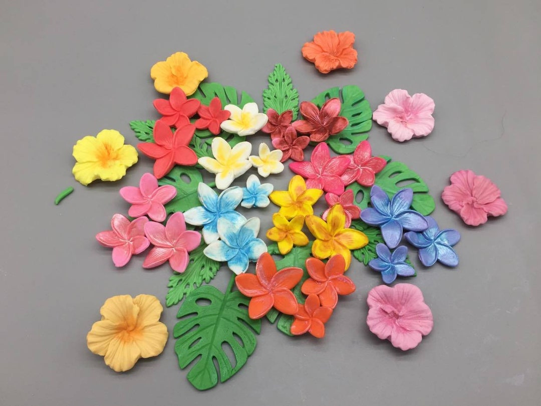 Fondant,sugar, Edible Tropical Flower Set for Cakes and Cupcakes12 Etsy