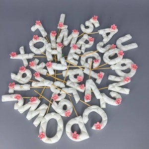 Letters, Alphabet, Fondant letters, Cake decoration,Edible fondant letter decorations #7