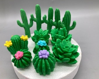 Succulent, Sugar succulent, Fondant succulent,cacti, sugar cacti, fondant cacti, succulent for cake, Succulent for cupcake, mini succulent