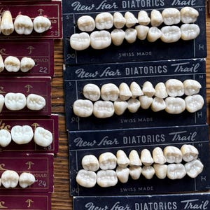 May include: A collection of vintage dental prosthetic teeth arranged in rows on rectangular cardboard cards. The cards are purple, maroon, and black, featuring brand names like Candulor, Bonartic, and New Star Diatorics Trail with Swiss Made text.