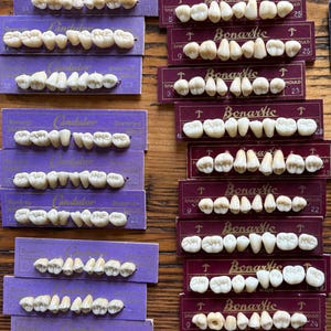 May include: A collection of vintage dental prosthetic teeth arranged in rows on rectangular cardboard cards. The cards are purple, maroon, and black, featuring brand names like Candulor, Bonartic, and New Star Diatorics Trail with Swiss Made text.