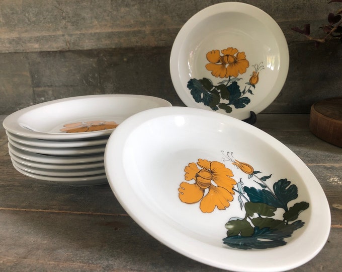 Set of 5 deep plate, soup plate, Seltmann Weiden Bavaria West Germany, Vintage 1970s mid century modern design