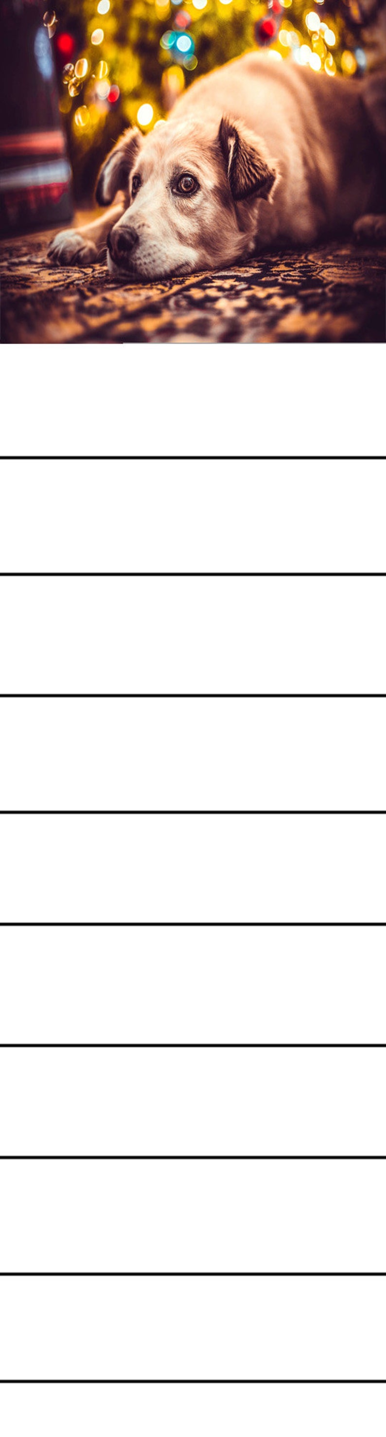 5 Printable Christmas Motif Bookmarkers Lined Note Taking Instant