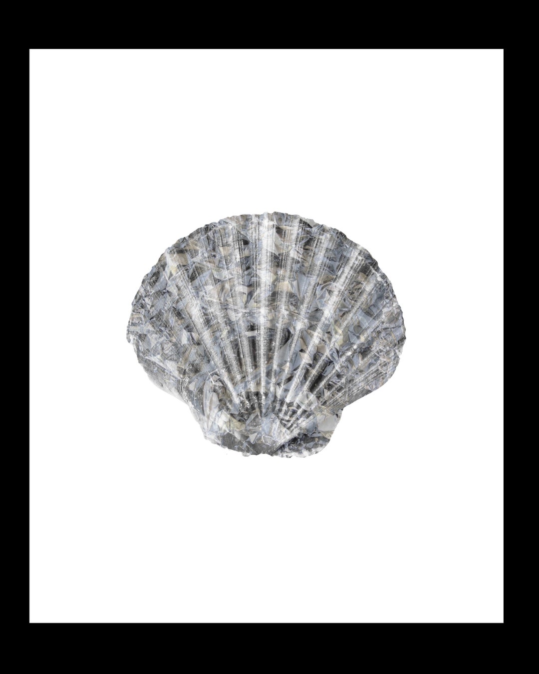 Printable Black and Gold Seashell Wall Art Room Decor Commercial and ...