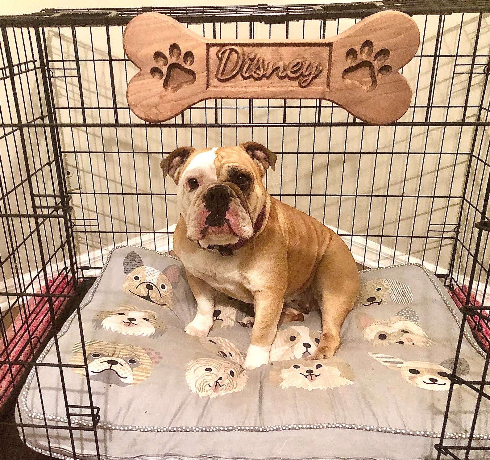 Dog Bone Sign Dog Crate sign Dog Kennel Name Plate Dog Etsy