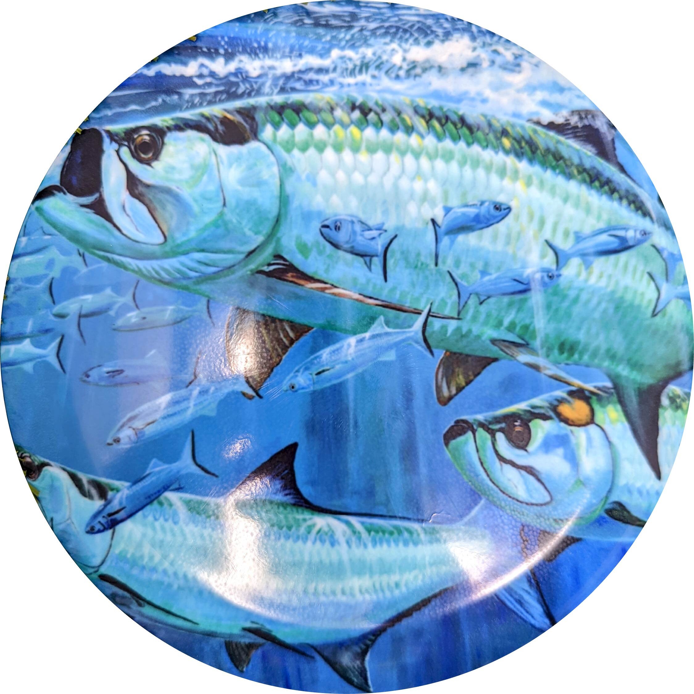 Custom Disc Golf Disc Unique Design Art Functional Frisbee Etsy