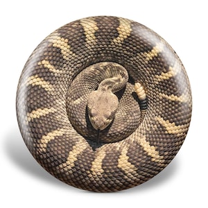 以下が含まれることがあります： 暗い茶色とベージュのひし形模様が特徴の、丸まったガラガラヘビ。ヘビの頭が見え、舌が出ています。ヘビは白い背景に配置され、印象的なコントラストを生み出しています。