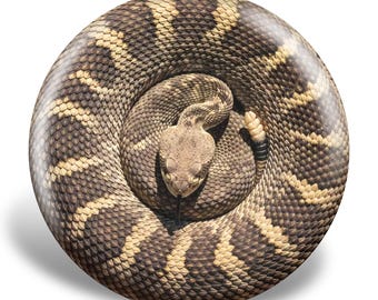 Snake Illusion 2.0 Disc, Funny Disc Golf Gift, Frisbee Art, Functional