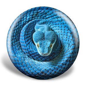 Custom Snake Illusion Disc, Funny Disc Golf Gift, Frisbee Art, Functional