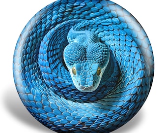 Snake Illusion Disc, grappig schijfgolfcadeau, frisbeekunst, functioneel