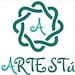 Artestú Stringart