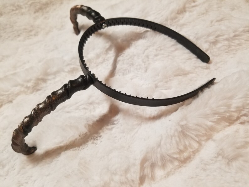 Horns