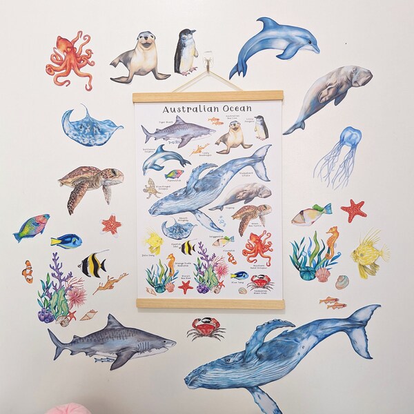 Australian Ocean Creatures and Coral -  Wall Decals, Kids Wall Stickers, Hand Drawn, Kids Room Decor