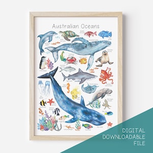 DESCARGA DIGITAL Afiche Océanos Australianos