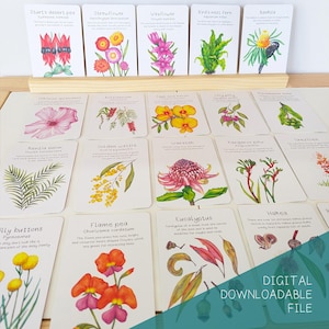 Tarjetas didácticas sobre plantas nativas de Australia DESCARGA DIGITAL