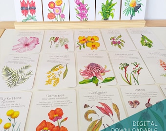 Australian Native Plants Flash Cards DIGITAL DOWNLOAD