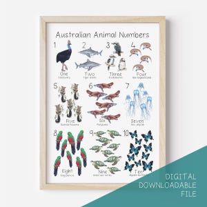 DESCARGA DIGITAL Póster de los números del 1 al 10 de los animales australianos