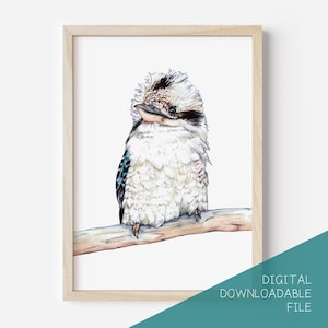 Australian kookaburra DIGITAL DOWNLOAD