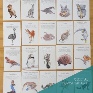 Schede didattiche sugli animali nativi australiani DOWNLOAD DIGITALE
