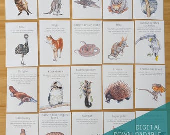 Australian Native Animal Flash Cards DIGITALE DOWNLOAD