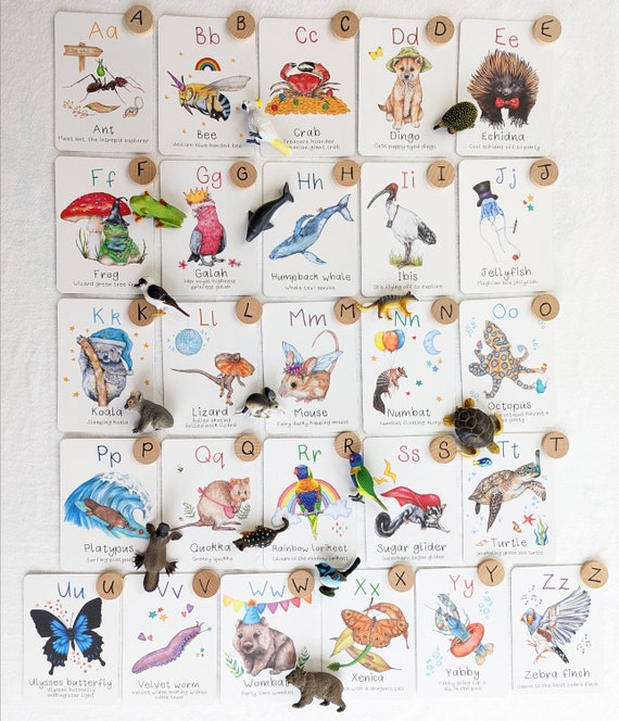Australian Animal Alphabet Flash Cards Fun Facts About Each - Etsy Australian Animal Alphabet Flash Cards Fun Facts About Each - Etsy