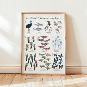 Australian Animal Numbers 1 to 10 Poster - A3 size - Hand drawn - Native Animals - Children's Educational Resource