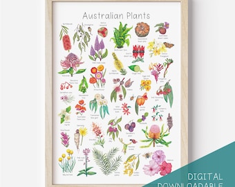 Australische Pflanzen Poster DIGITAL DOWNLOAD