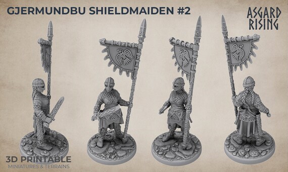Shield Maidens Fantasy Tabletop RPG Model Dnd Tabletop 