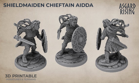Shield Maidens Fantasy Tabletop RPG Model Dnd Tabletop 
