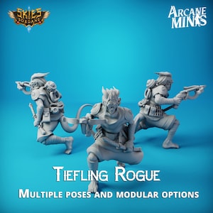 Tiefling Female Rogue Assassin 32mm scale | Skies of Sordane | DnD | Pathfinder | Dungeons and Dragons | Fantasy Tabletop RPG