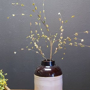 Willow Sprouts Spray - Willow Sprouts Pick - Primitive/Farmhouse Decor - Willow Faux Floral - 28&quot;