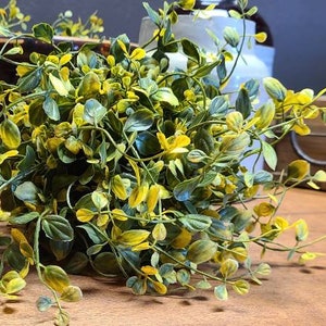 Faux Bog Pimpernel - Primitive/Farmhouse Floral - Assorted Styles & Sizes
