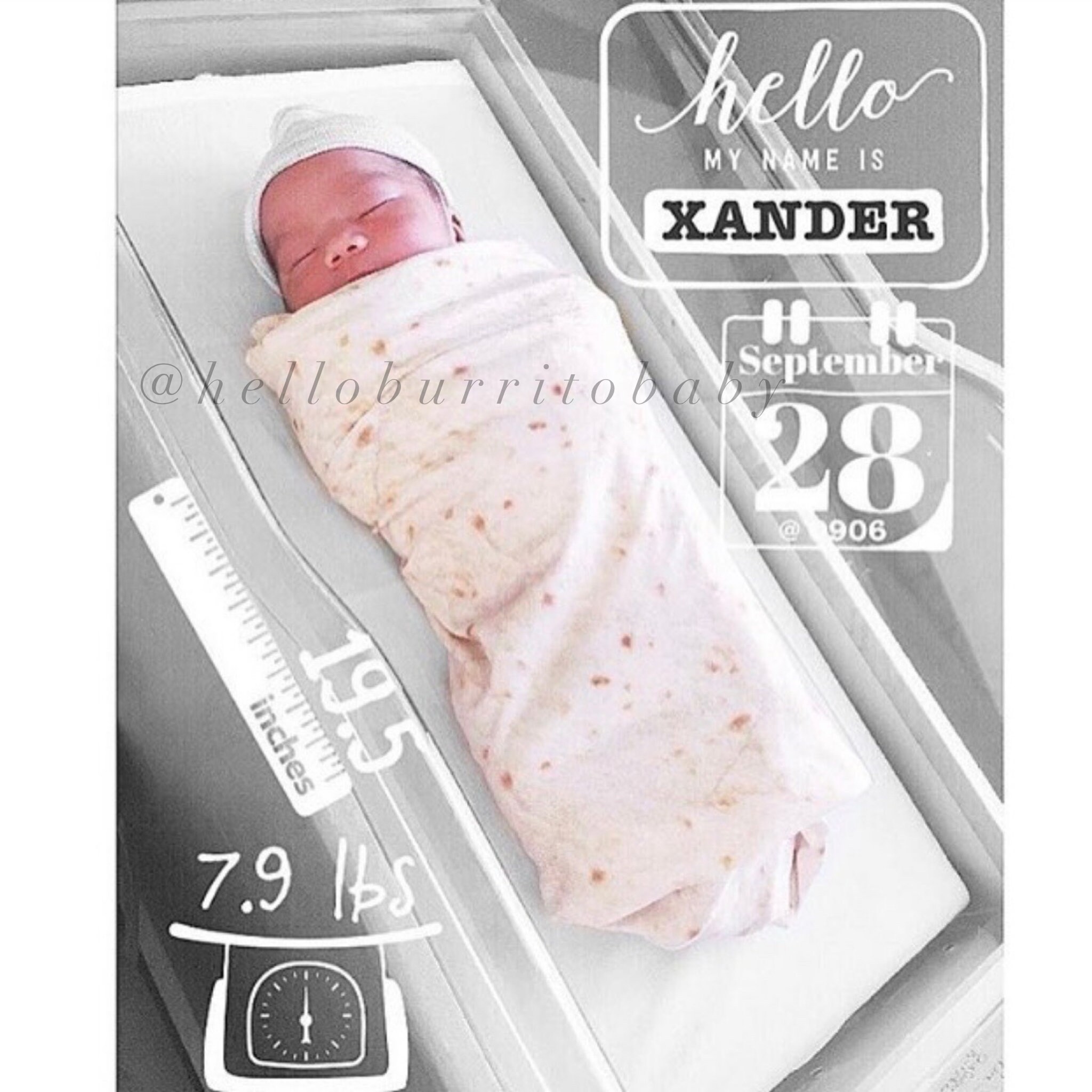 Burrito Baby Swaddle Tortilla Blanket Etsy