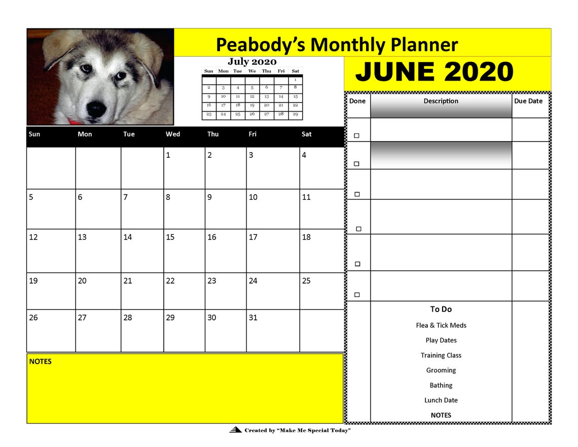 16 Month Pet Calendar & Pet Planner With Some Custom Features Etsy
